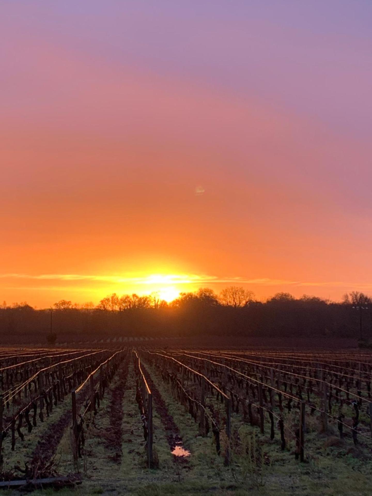 Gîte indépendant entre vignes et océan