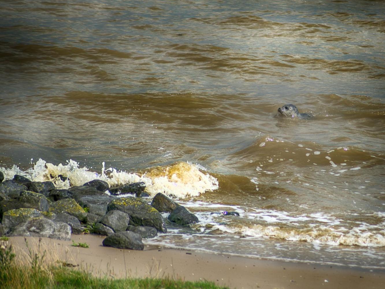Ferienwohnung Zur Mühle