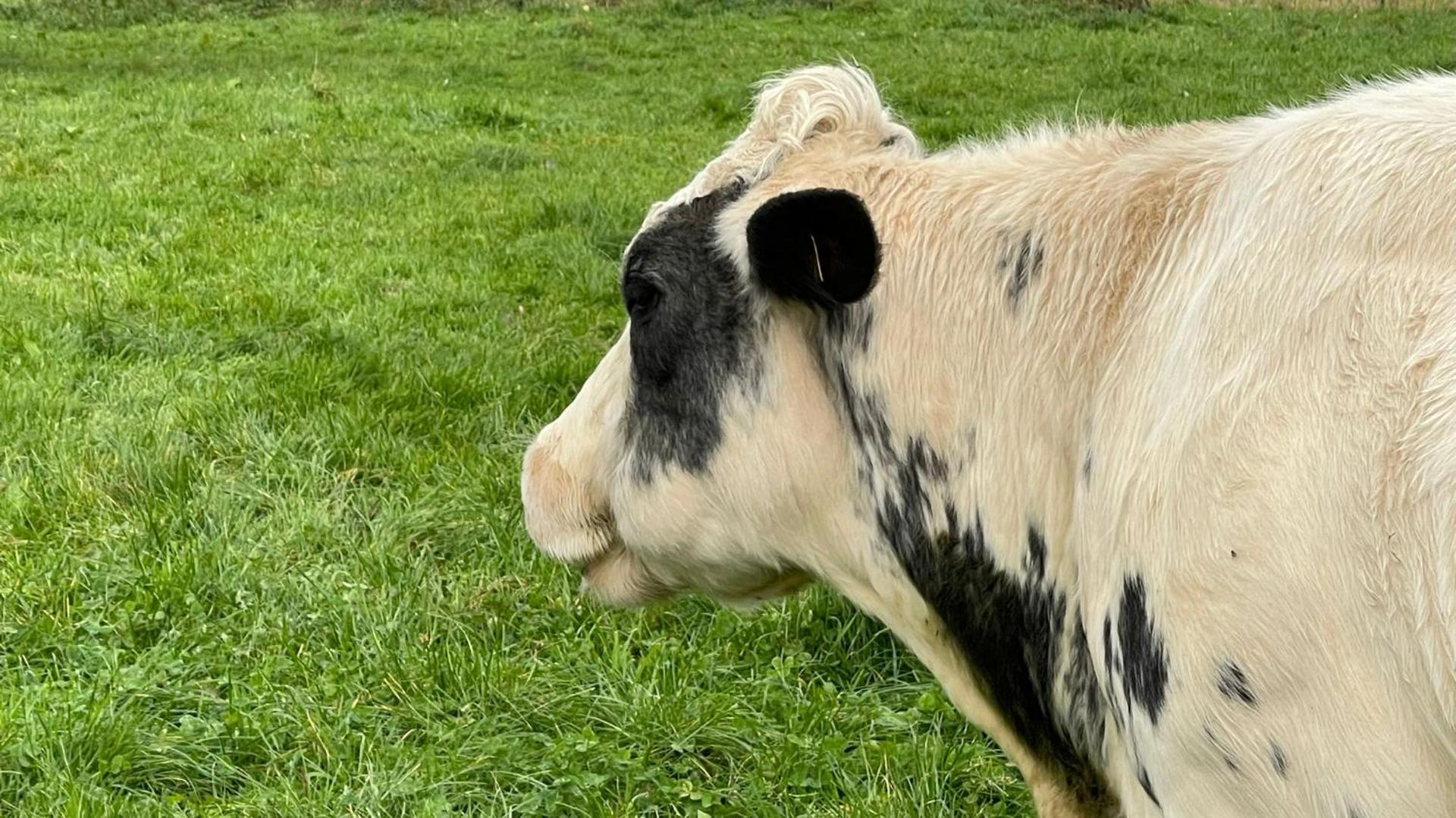 Panorama Sousberg Appartementen