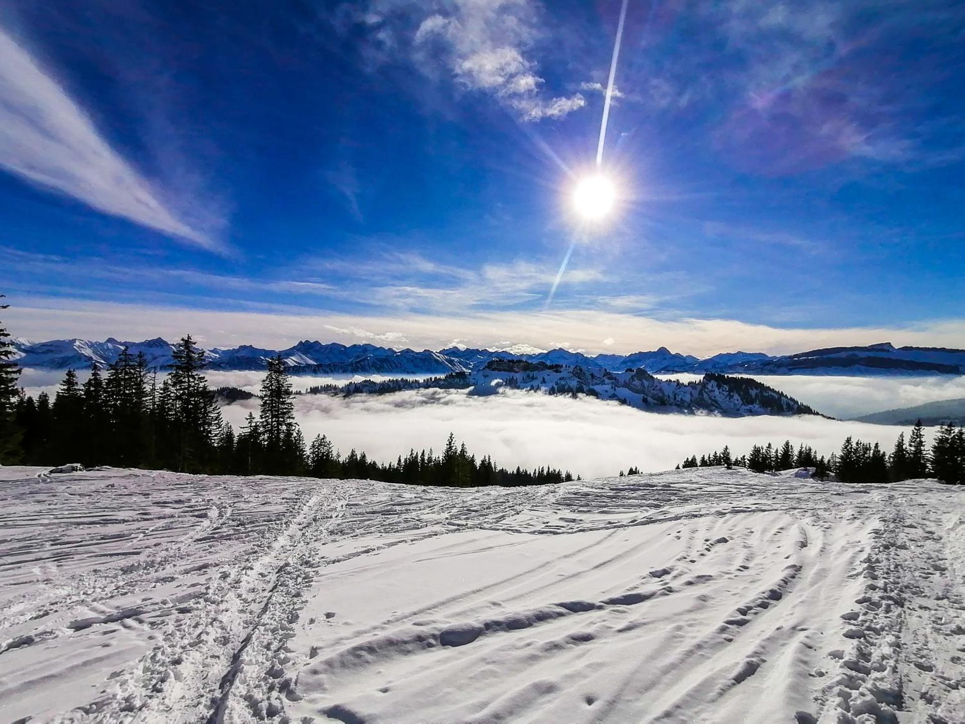 AlpseeGrünten - die Ferienwohnung