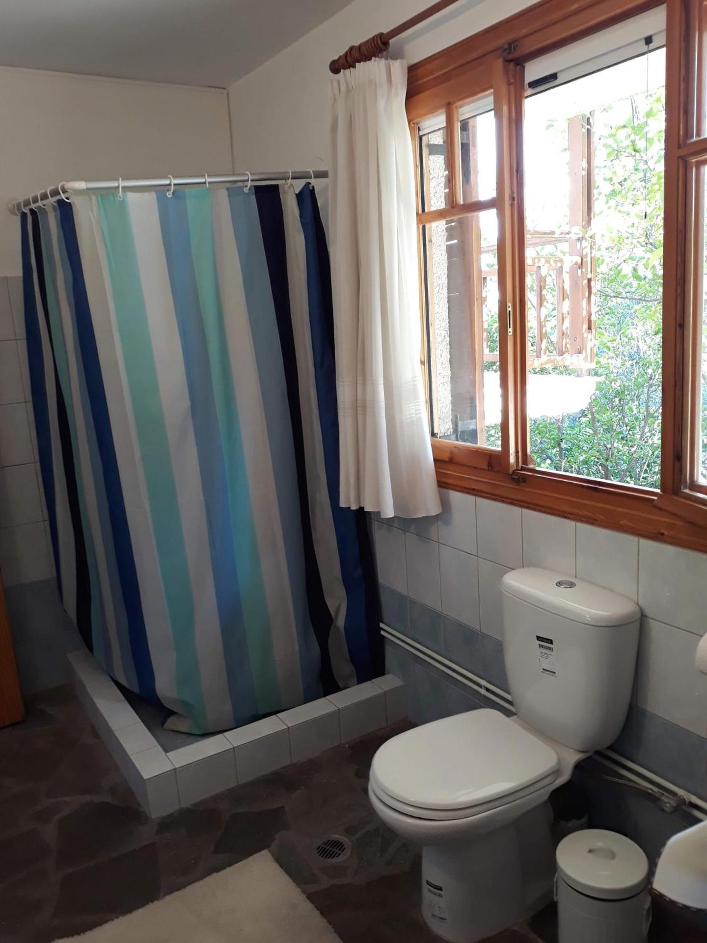 Σπίτι σε ελαιώνα, house in an olive grove