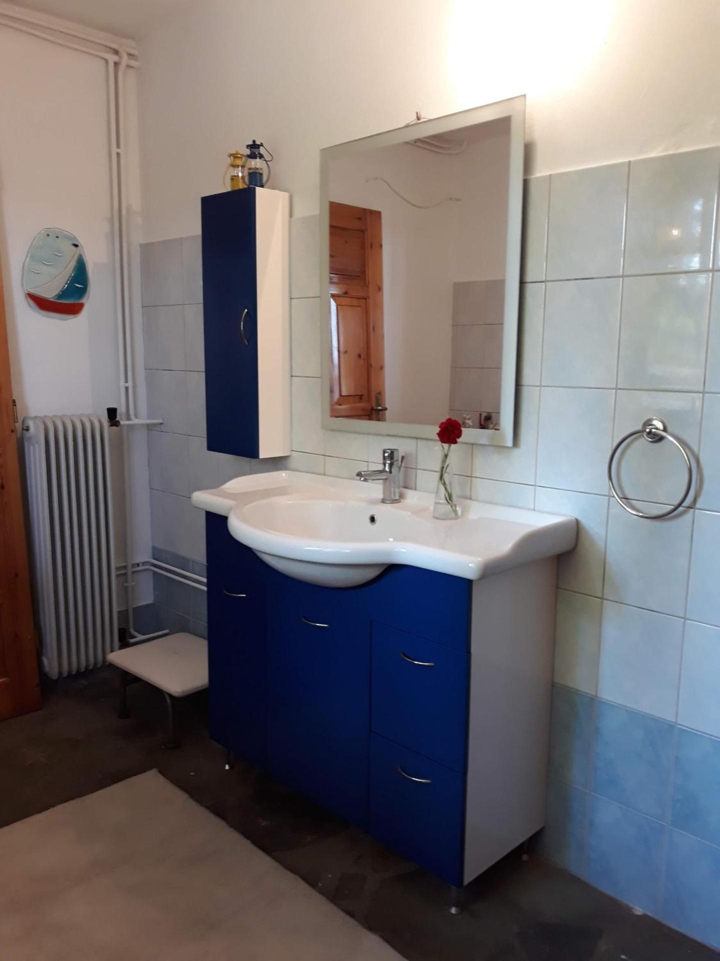 Σπίτι σε ελαιώνα, house in an olive grove