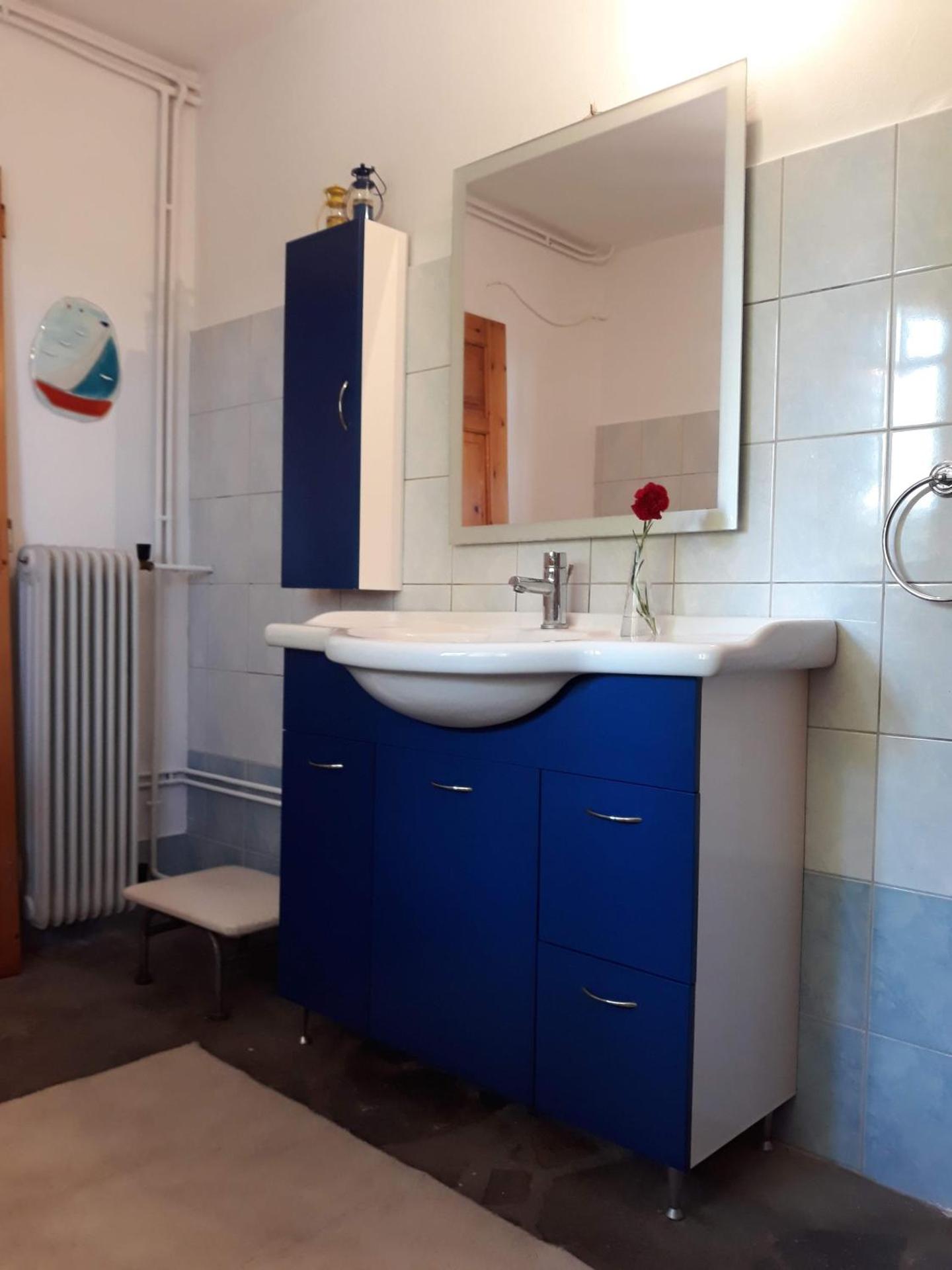 Σπίτι σε ελαιώνα, house in an olive grove