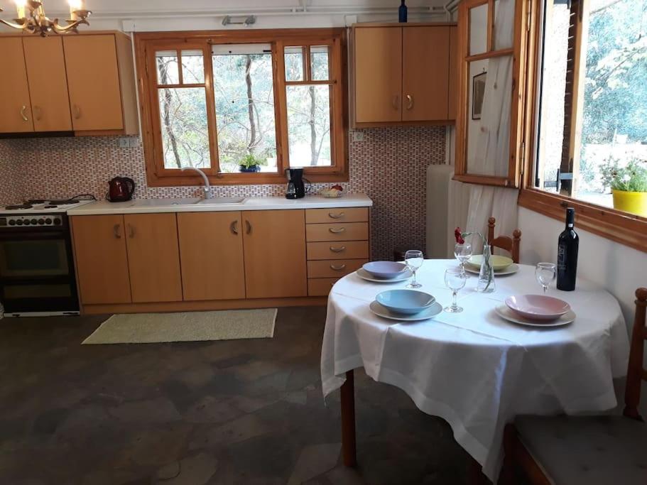 Σπίτι σε ελαιώνα, house in an olive grove