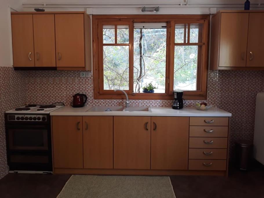 Σπίτι σε ελαιώνα, house in an olive grove