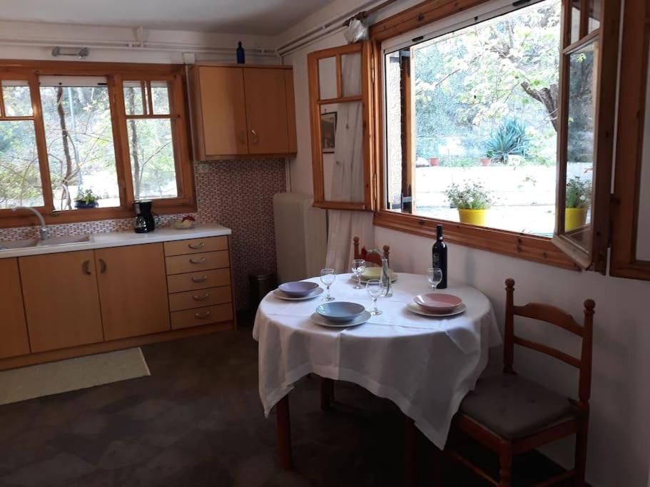 Σπίτι σε ελαιώνα, house in an olive grove