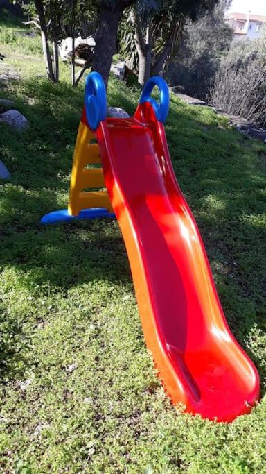 Σπίτι σε ελαιώνα, house in an olive grove