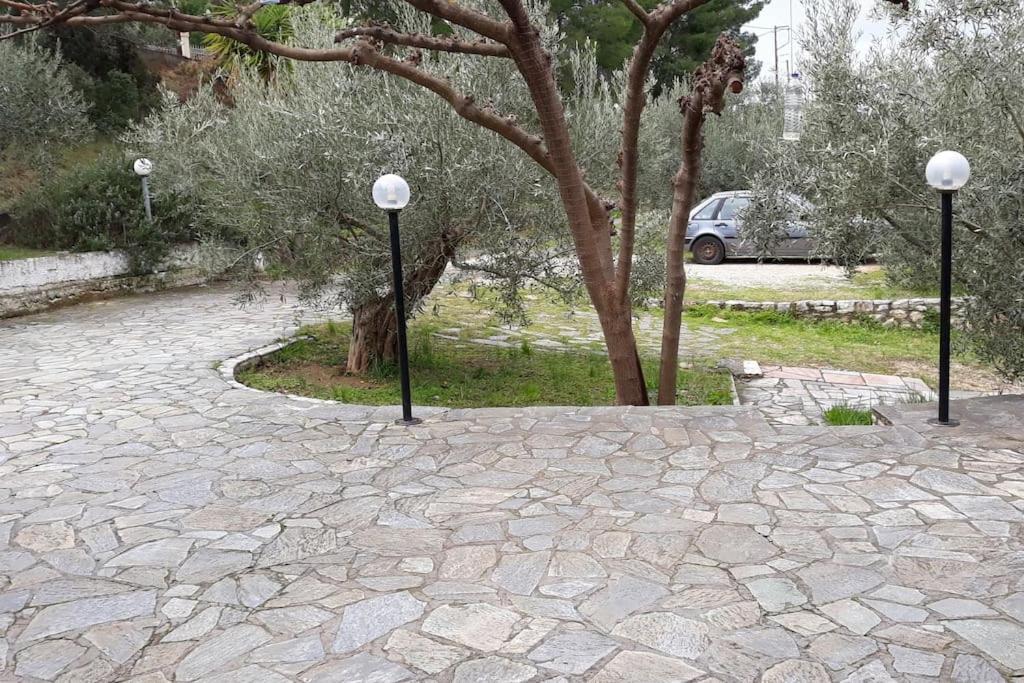 Σπίτι σε ελαιώνα, house in an olive grove