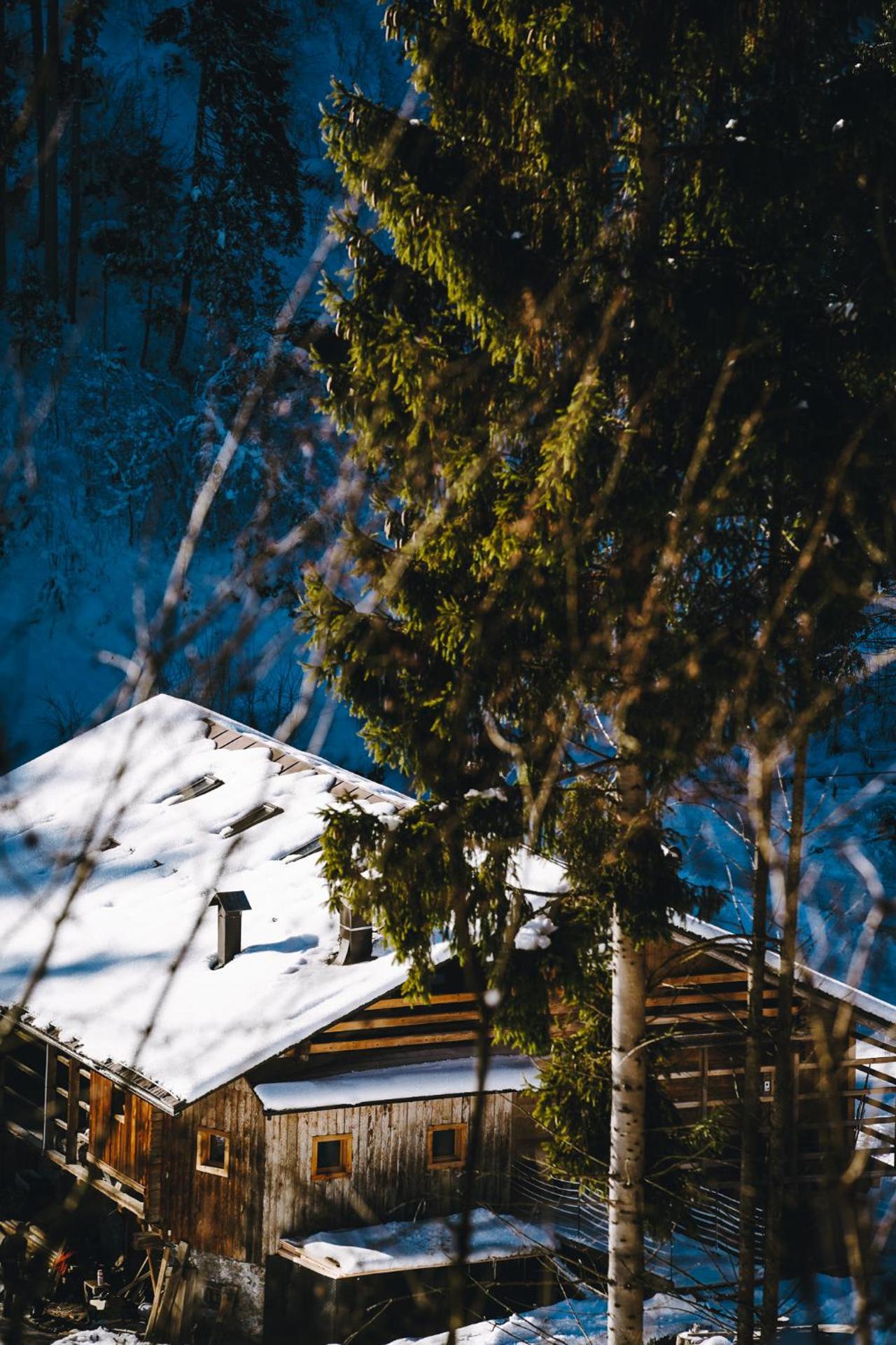 Lärchenwirt Dolomites
