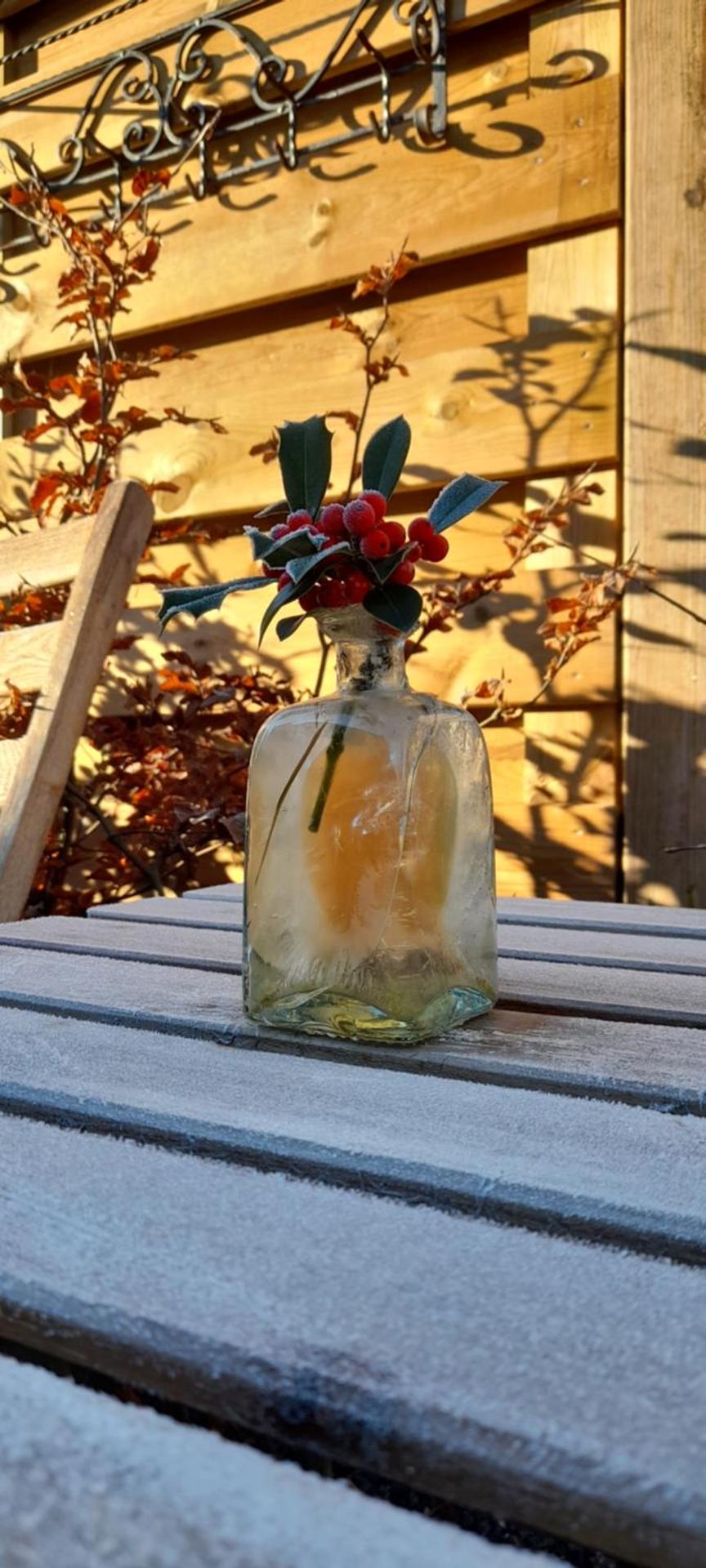 Le Gîte du Pic Vert