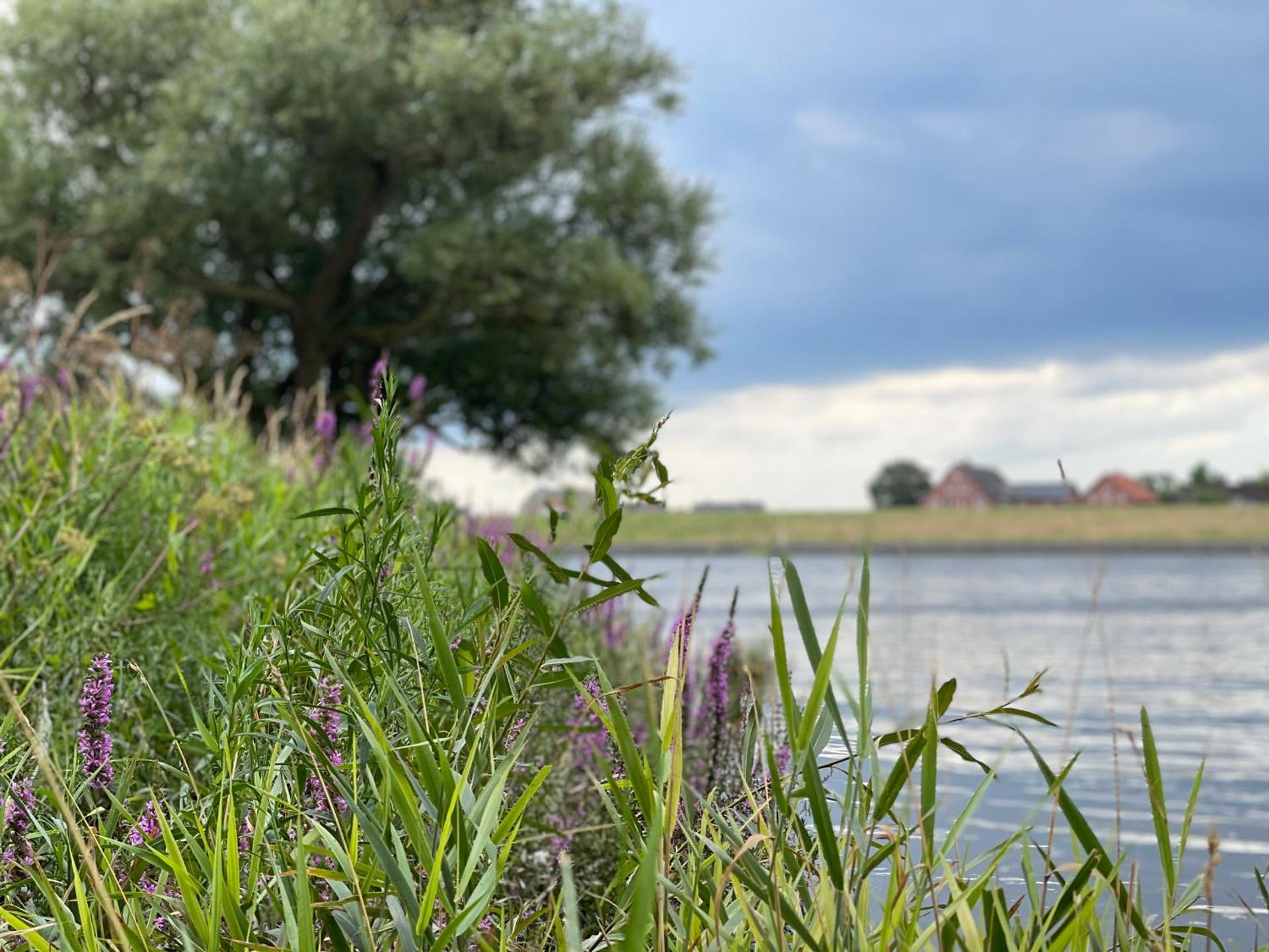 Ferienwohnung Spieker in Hamburg