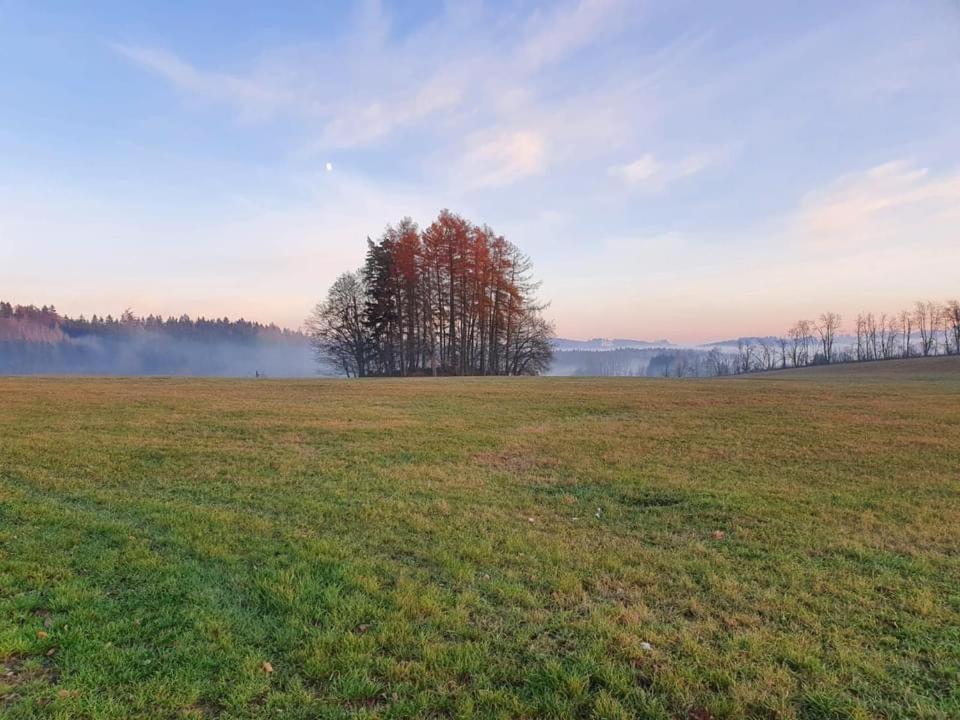Apartmány Rudník Bolkov