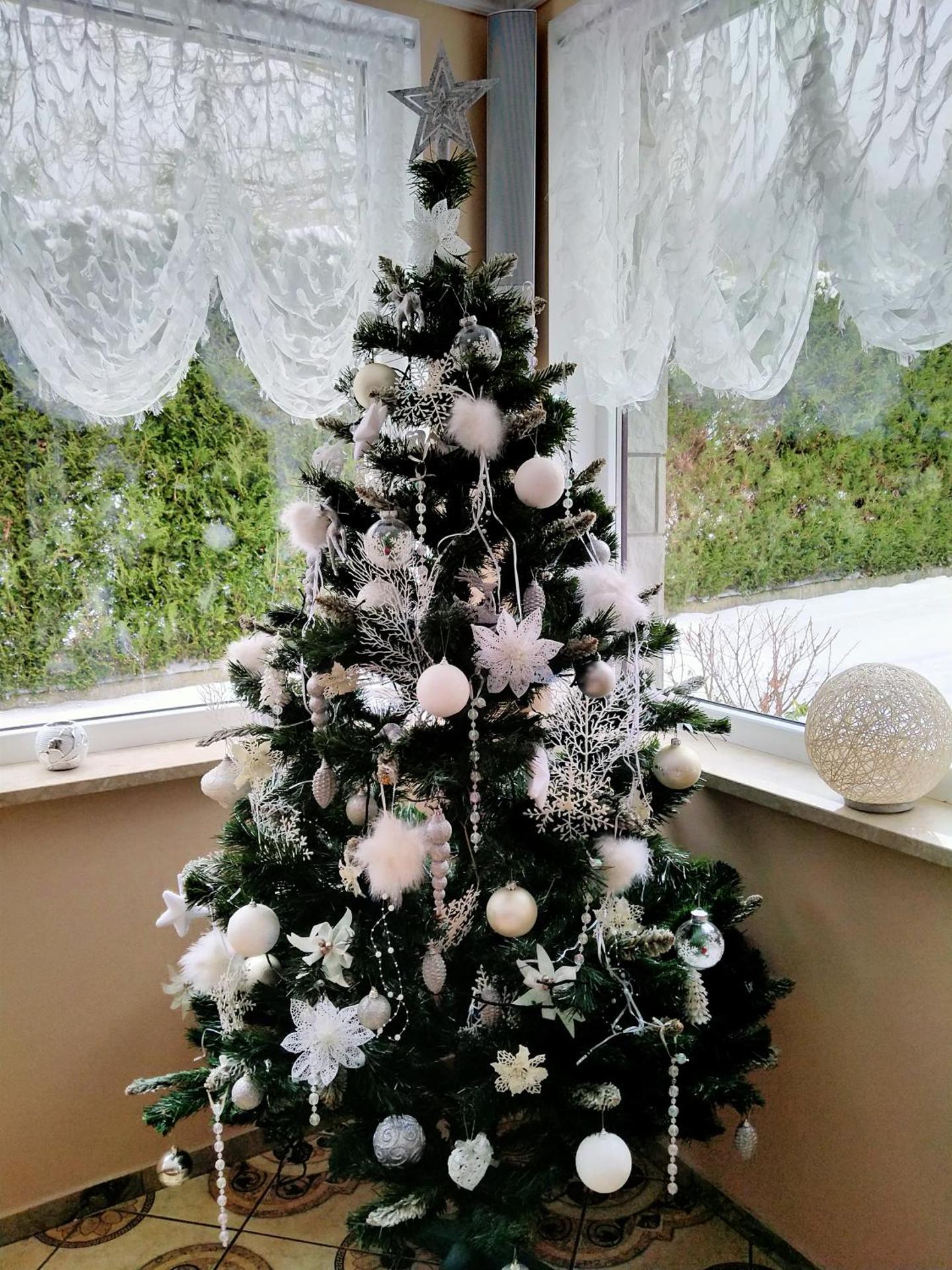 Pokoje Gościnne Perła