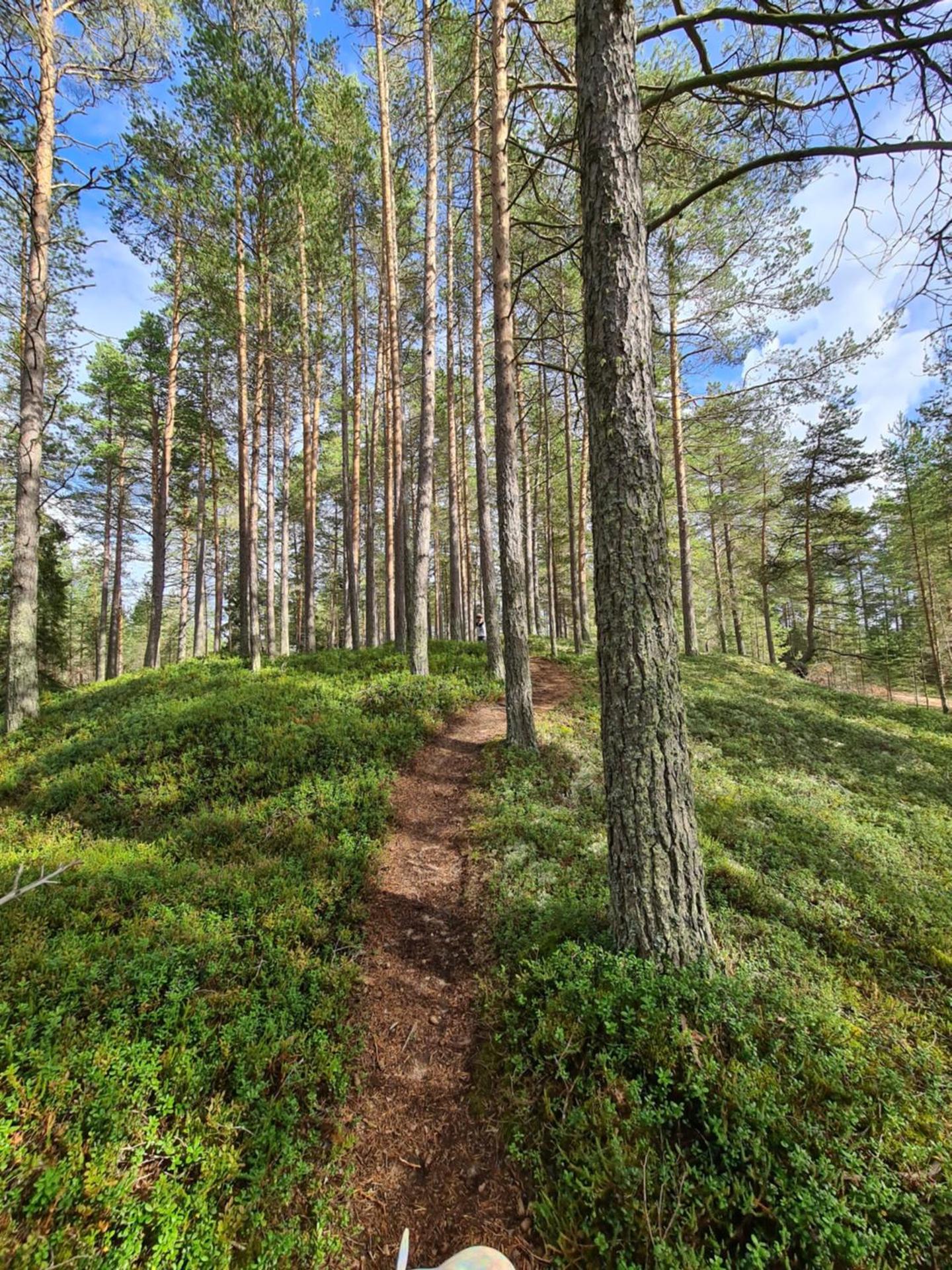 Uusi loma-asunto 4 hengelle hiekkasärkillä