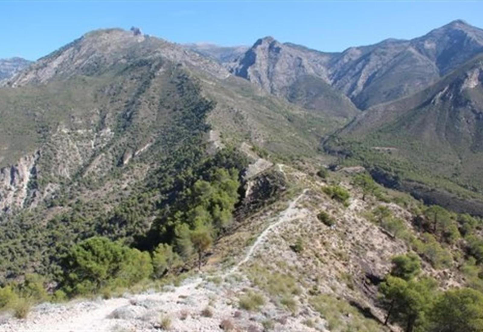 Townhouse with Sea View