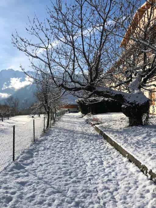 Appartement rez de jardin montée de l'alpe d'Huez