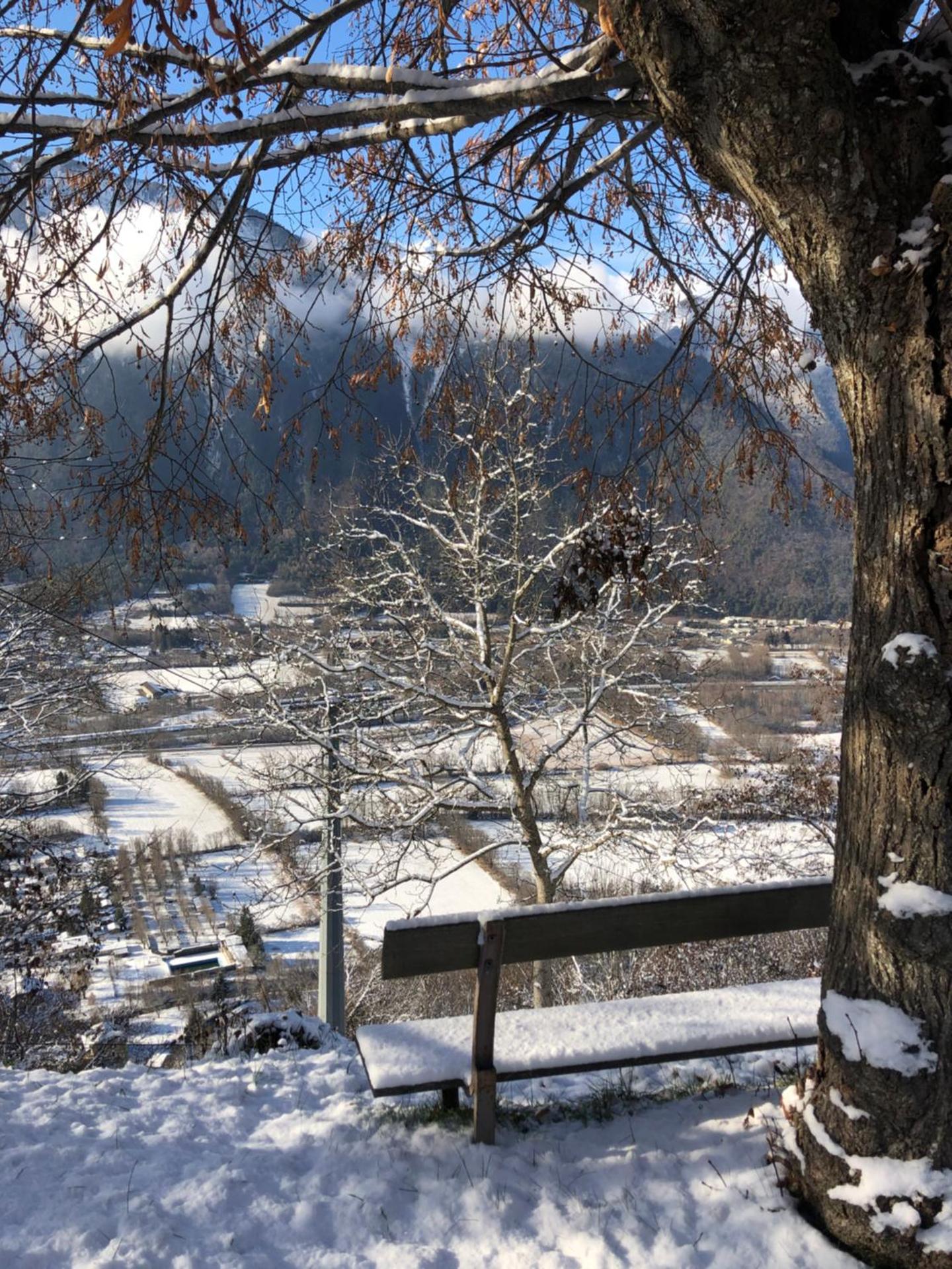Appartement rez de jardin montée de l'alpe d'Huez