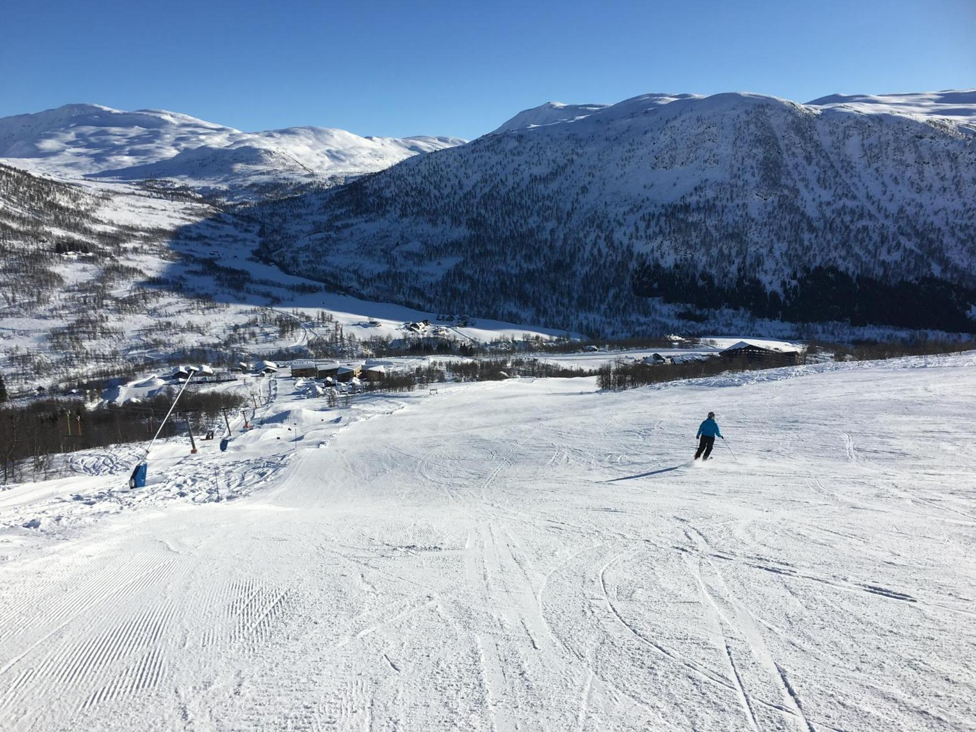 Voss- Oppheim suite private cozy cabin