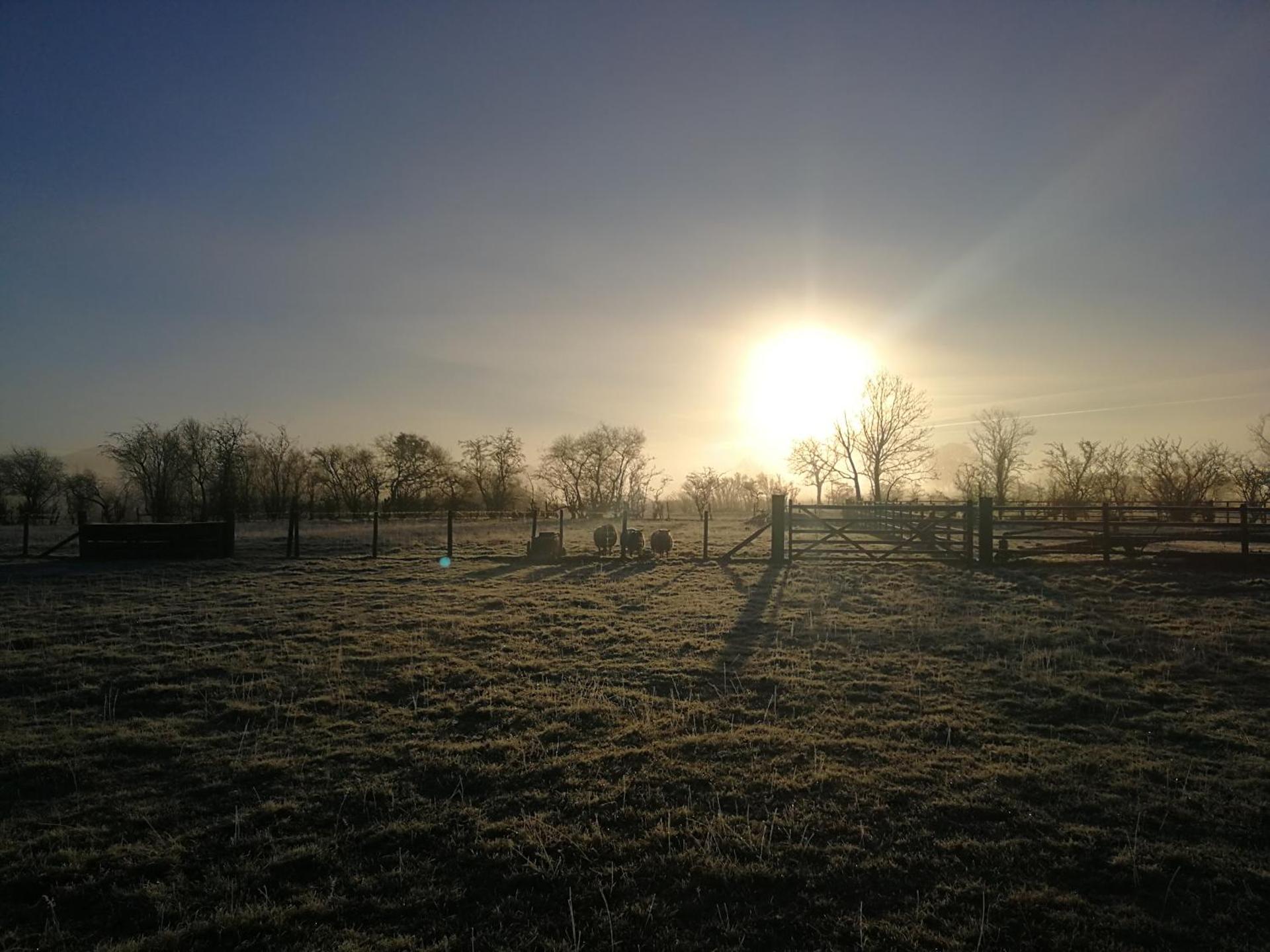 Sunny Mount Glamping Pod