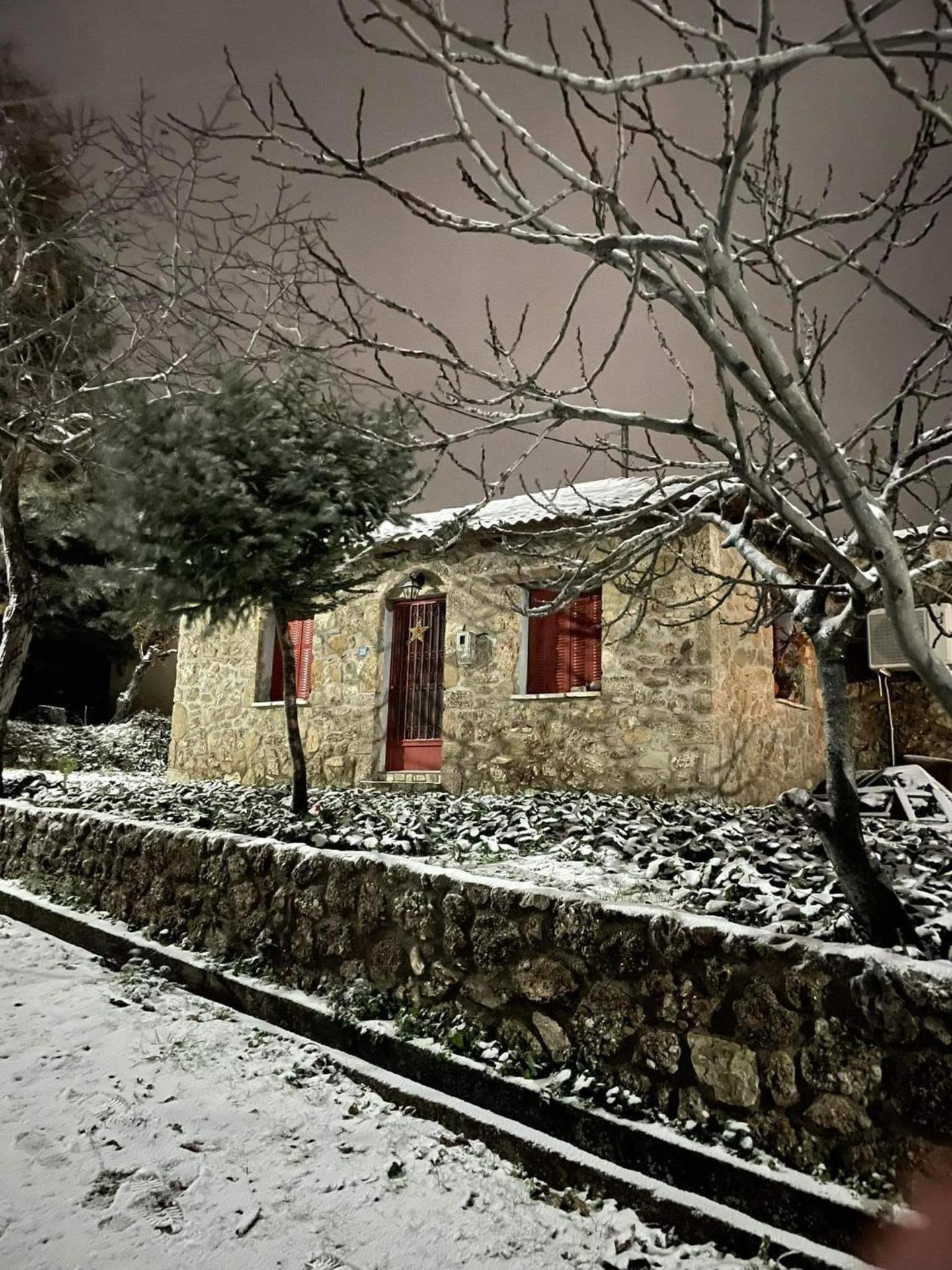 ΦΙΛΥΡΑ ΠΕΤΡΙΝΟ