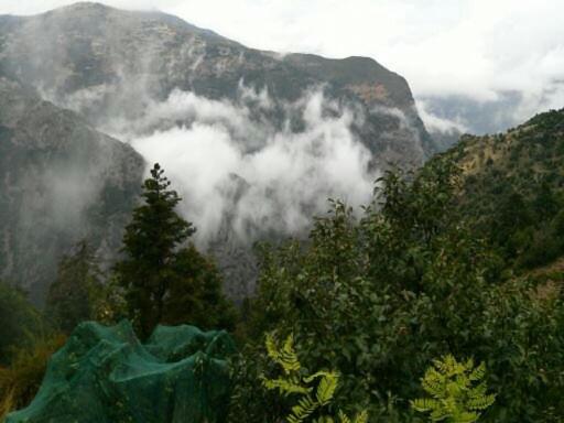 ΦΙΛΥΡΑ ΠΕΤΡΙΝΟ