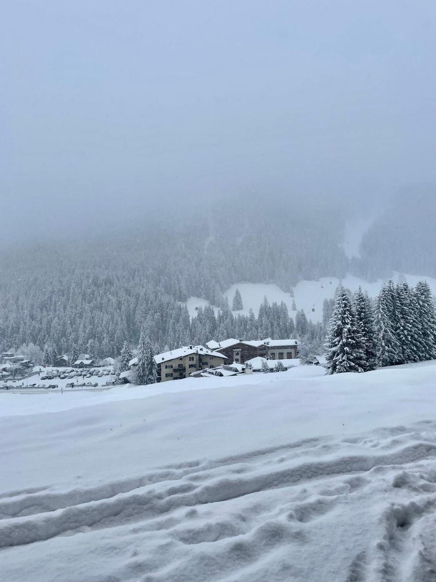 Surrounded by green - Luxury Chalet at the foot of the Dolomites