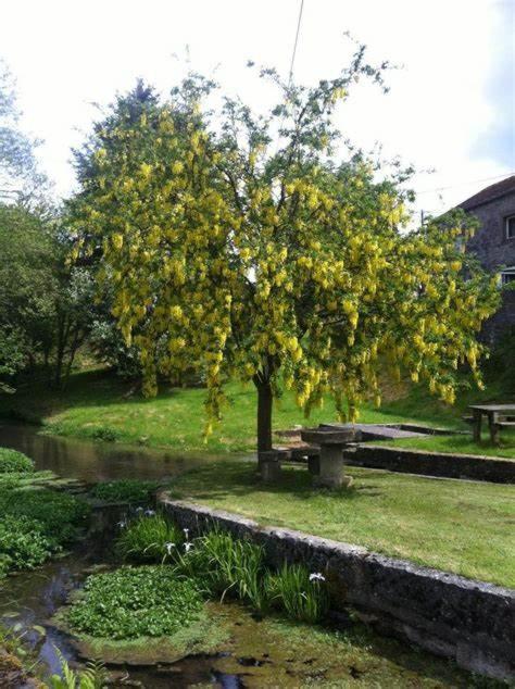 La petite maison du moulin de Scoville.