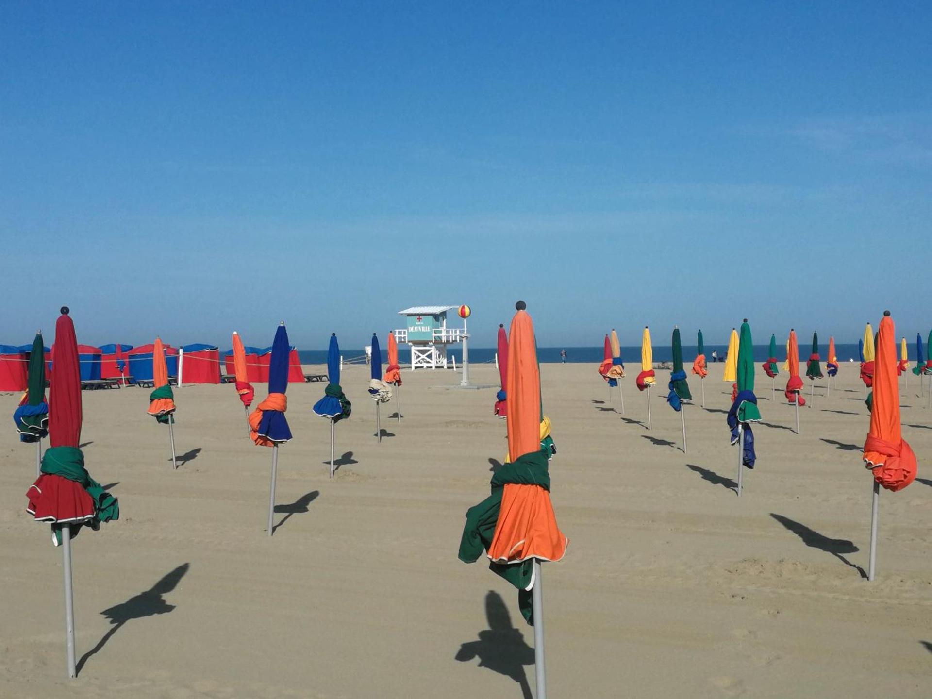 La Glycine Hypercentre et tout confort