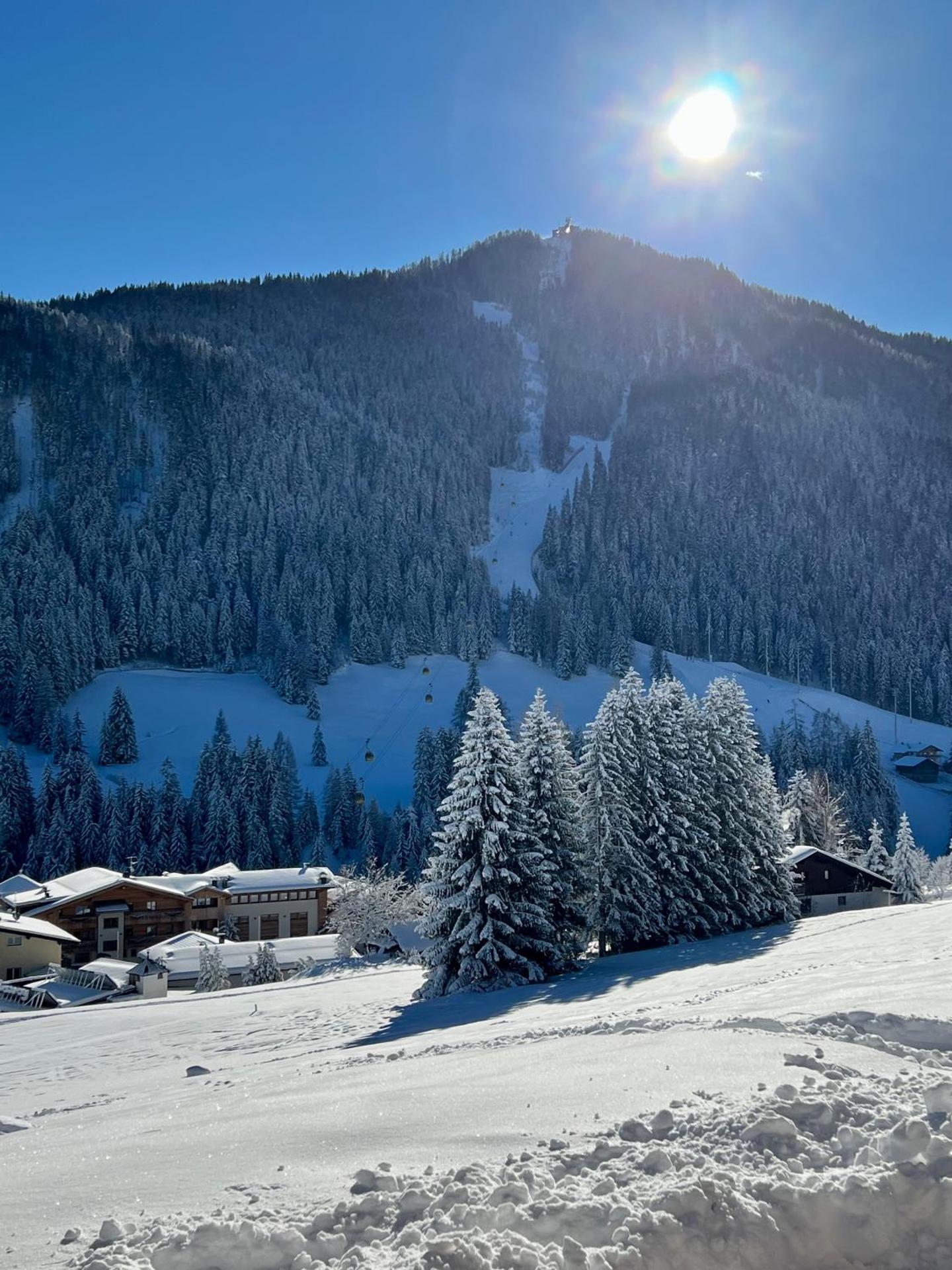 Surrounded by green - Luxury Chalet at the foot of the Dolomites
