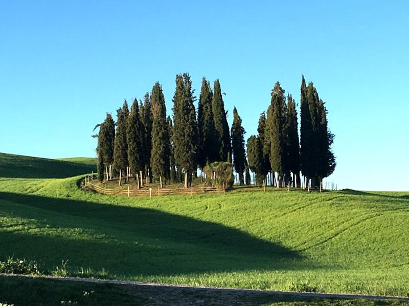 Finestra sulla val d'Orcia