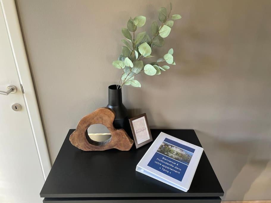 Terra - appartement à deux pas du bord de Meuse entre Namur et Dinant