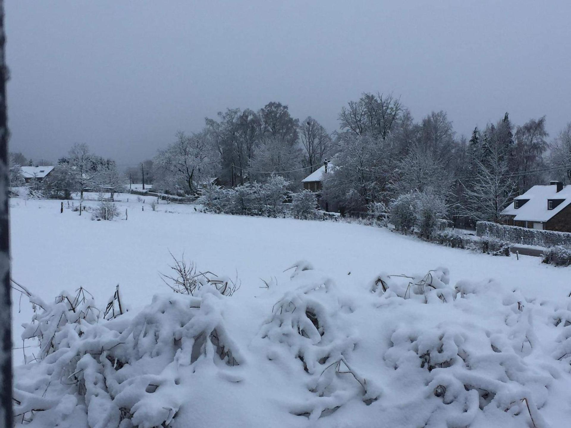 Le DiamanSter Francorchamps