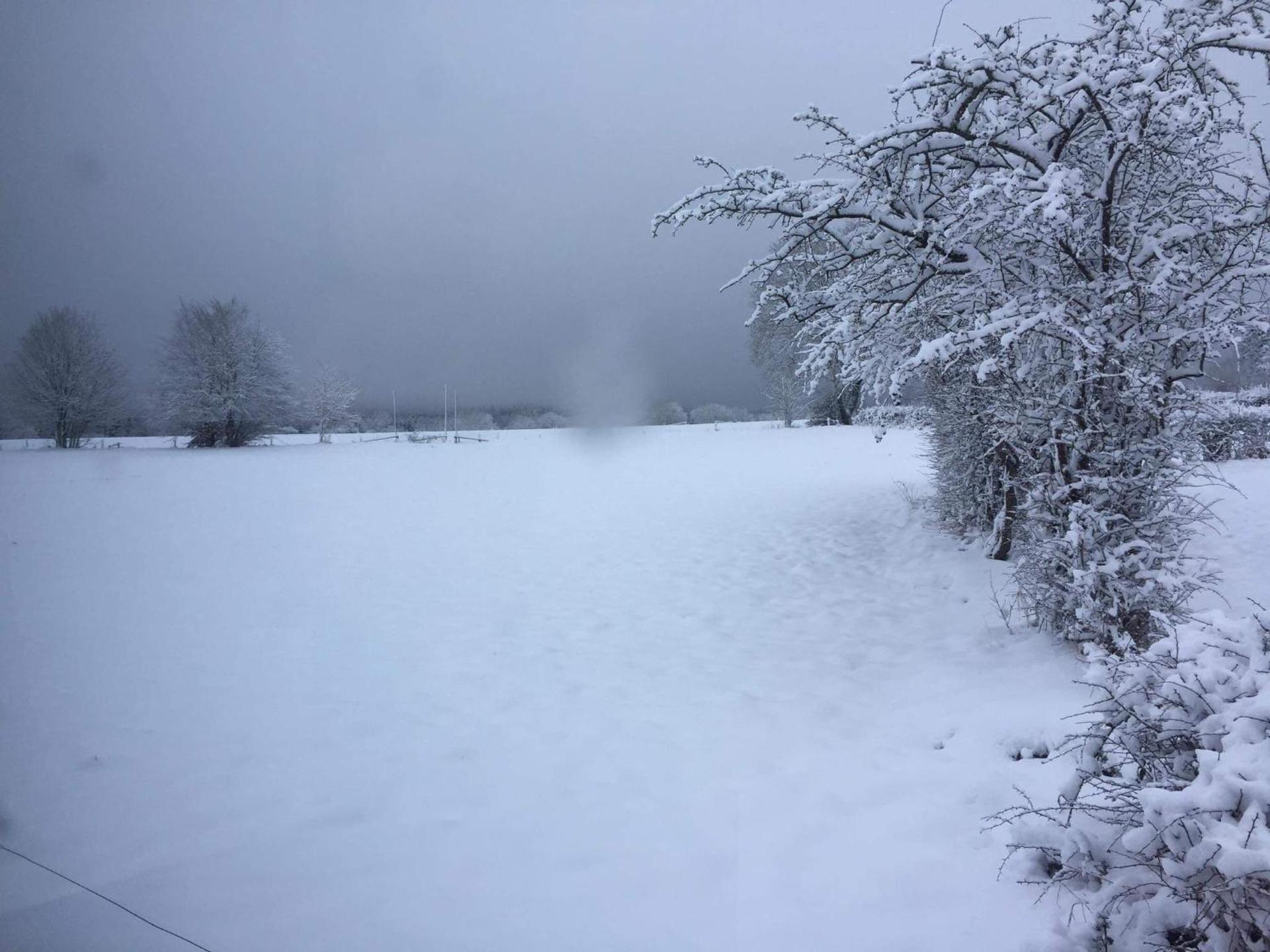 Le DiamanSter Francorchamps