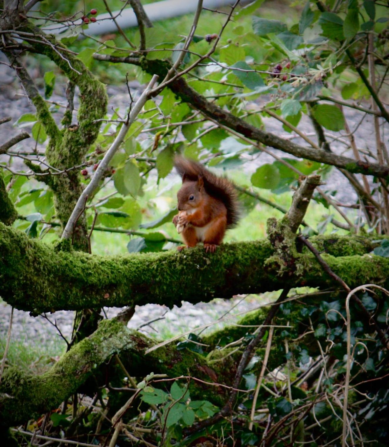 View (from property/room)