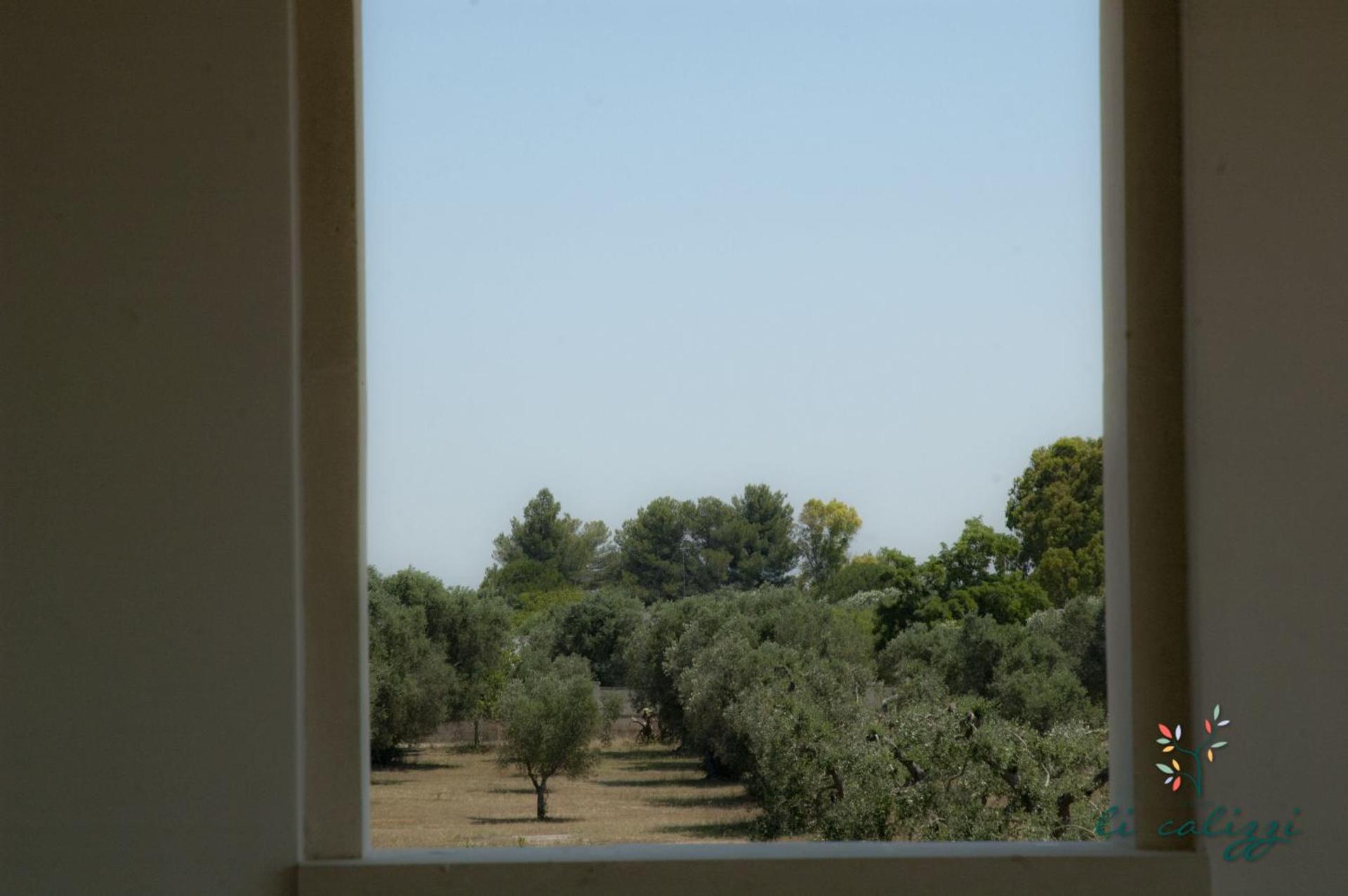 Double or Twin Room with Terrace