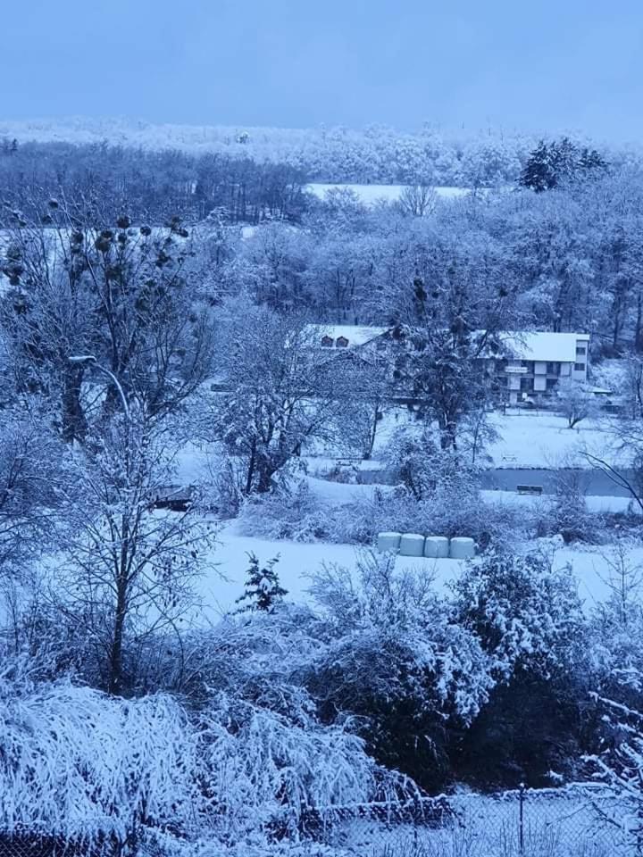 Landgasthof Rotlipp Gästezimmer