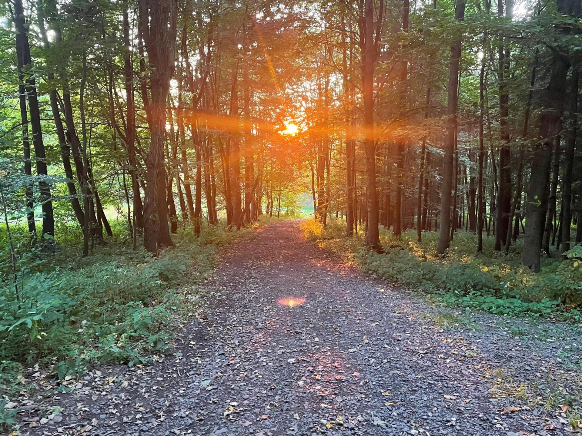 Apartament pod Stożkiem