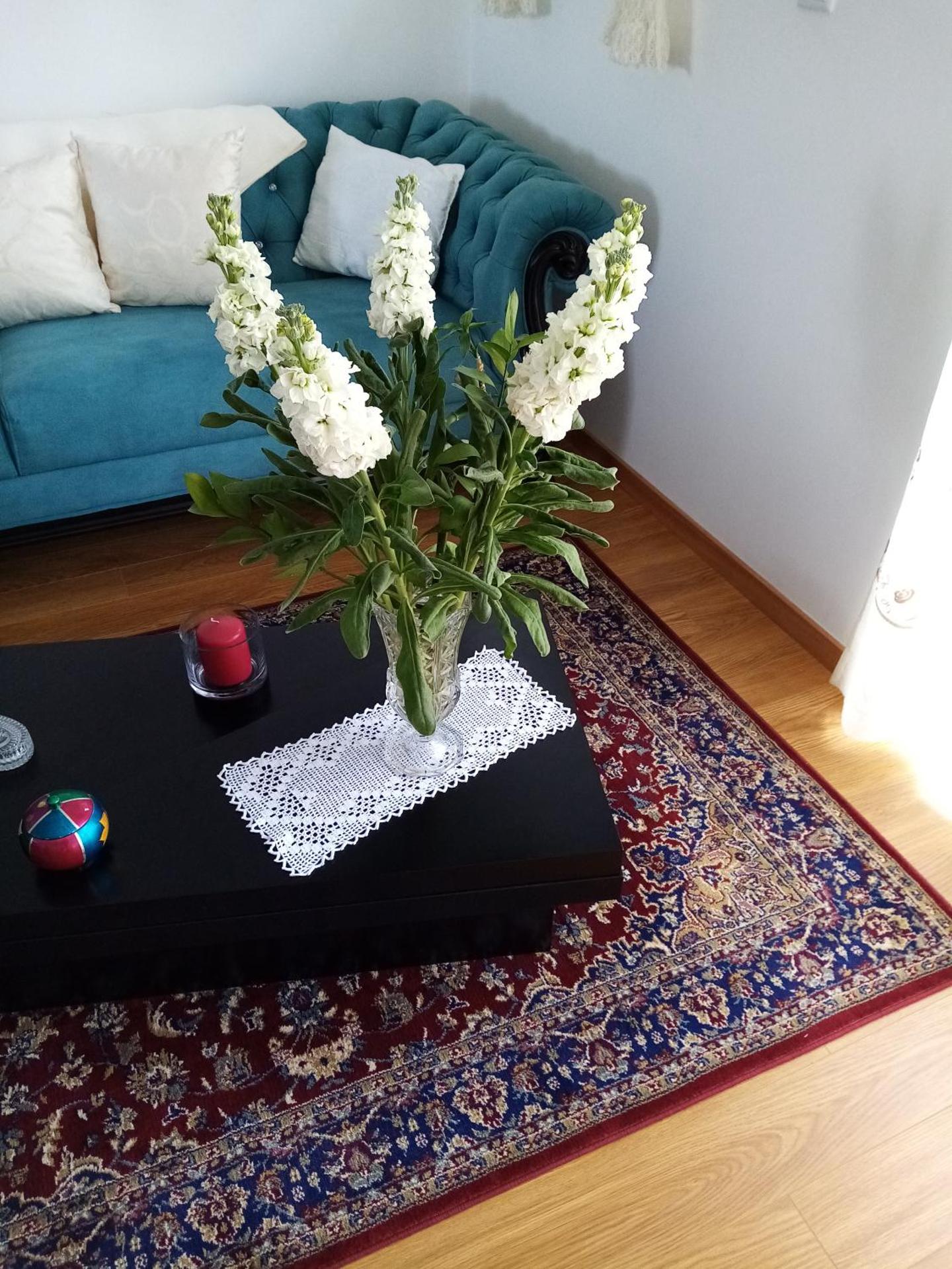 Vivenda das Carvalhas