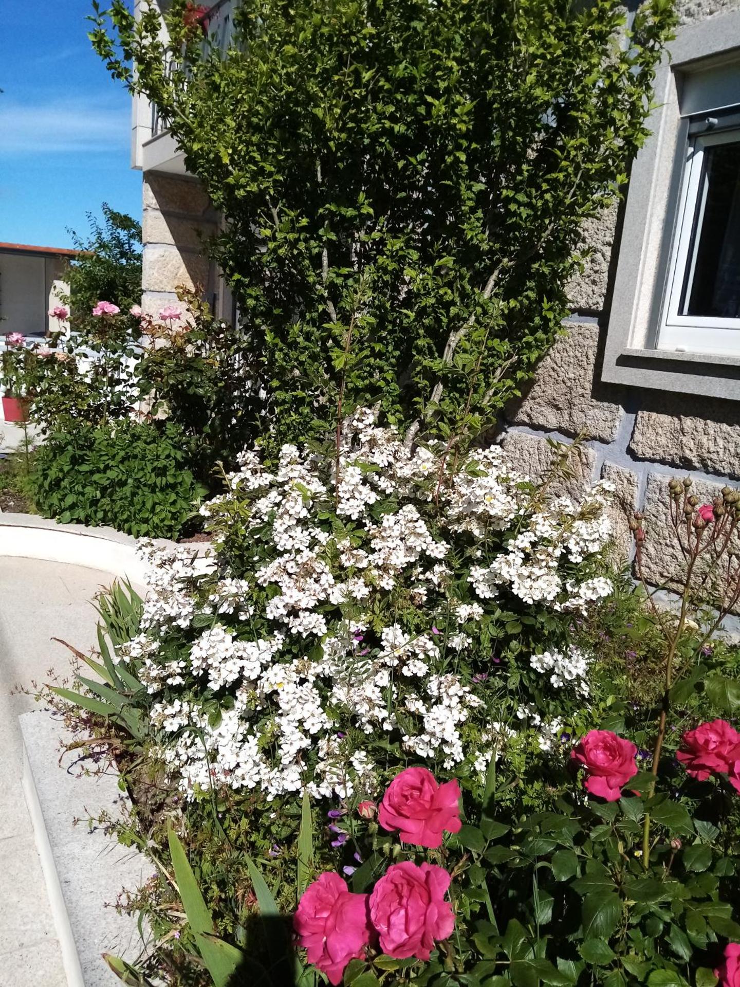 Vivenda das Carvalhas