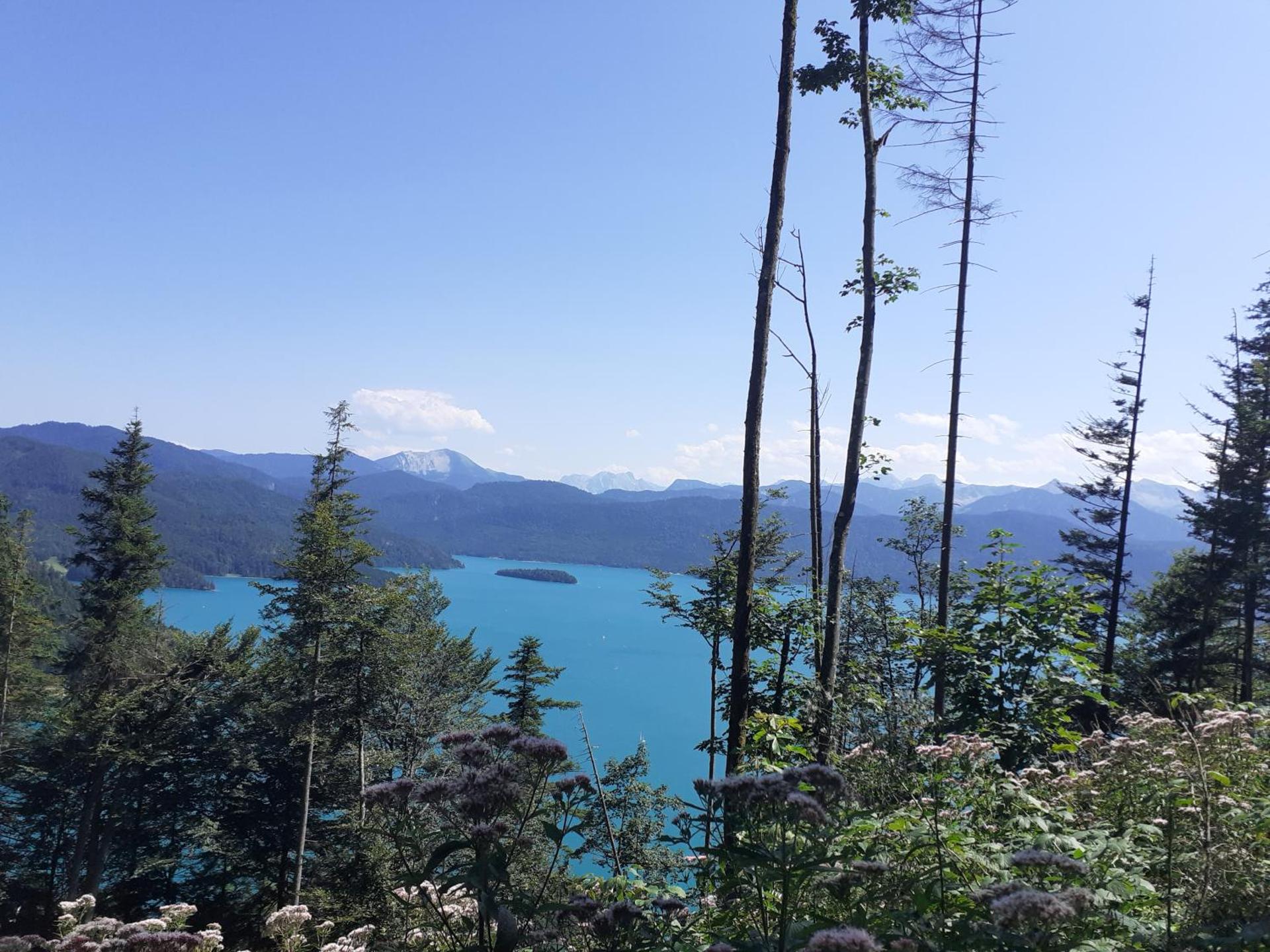 Ferienwohnung mit wundervollen Bergblick