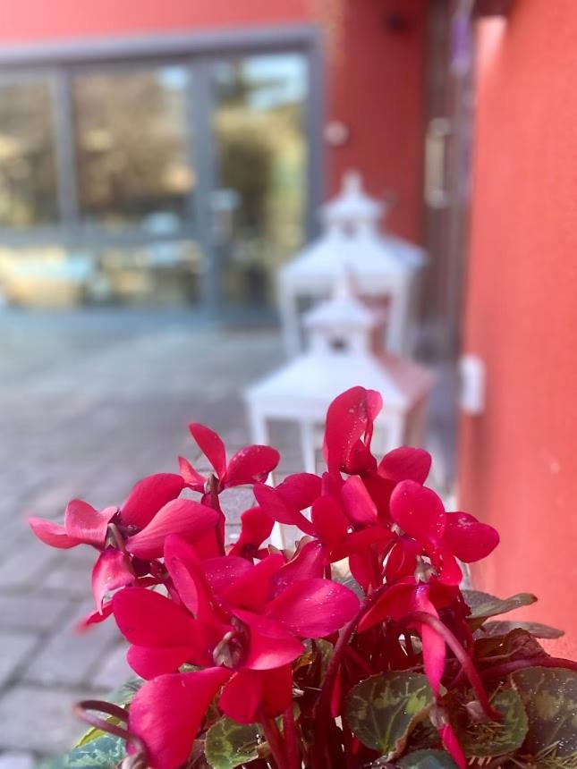 La casina rossa Affittacamere