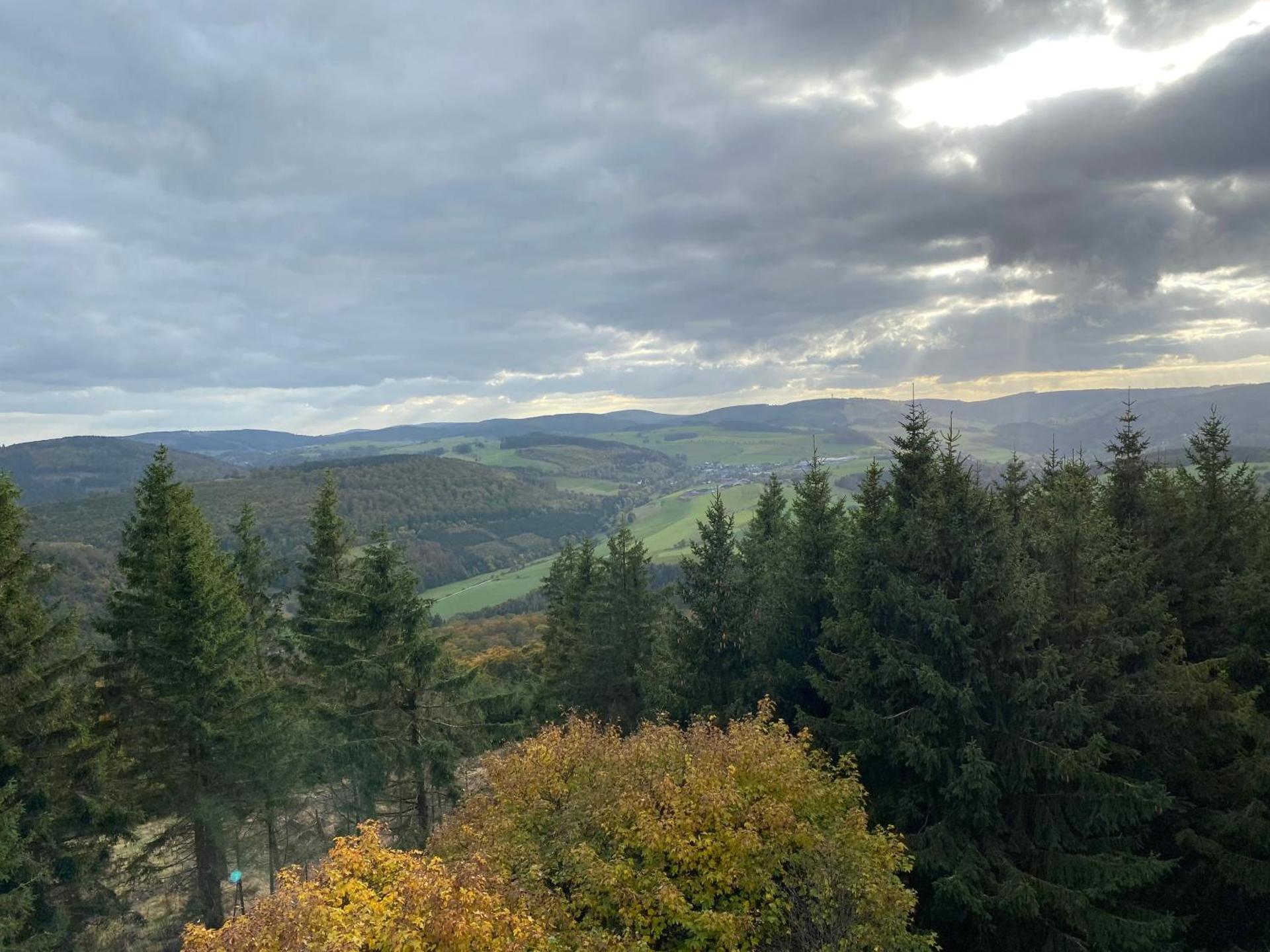 Schönwald Waldchalet am Musenberg