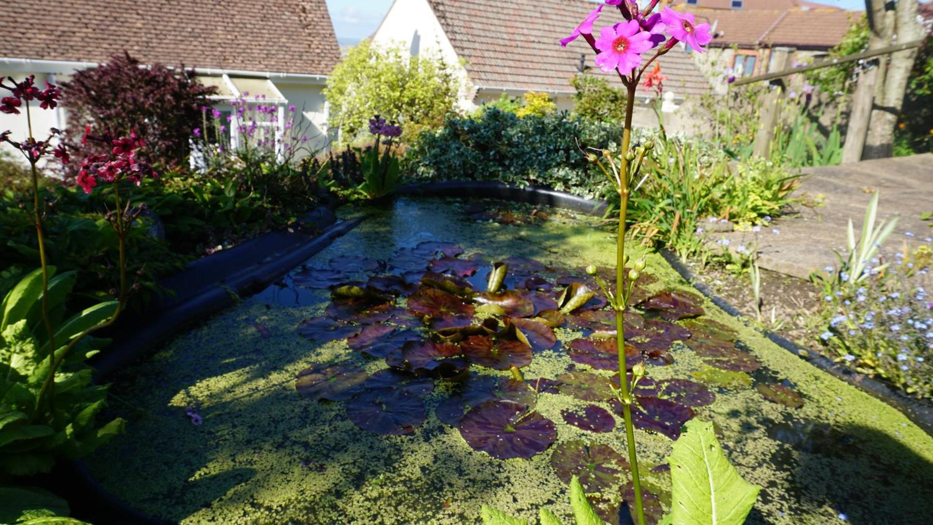 Nicosia House with sea views.