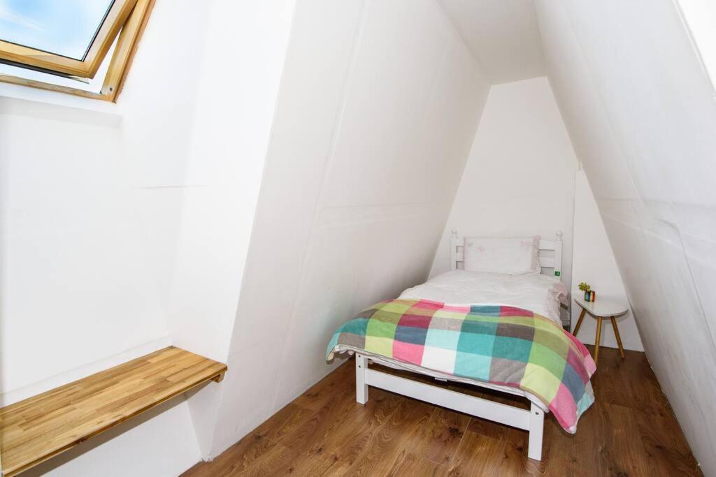 Stable View, Clara Meadows Dunfanghy