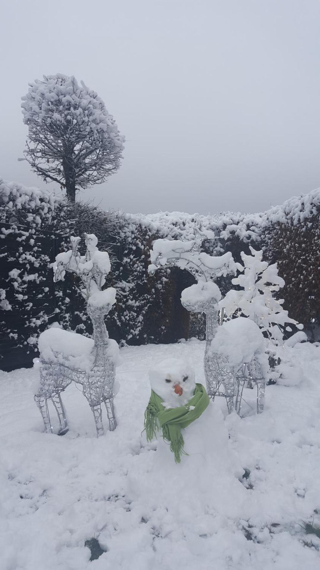 Die alte Schule Häuschen