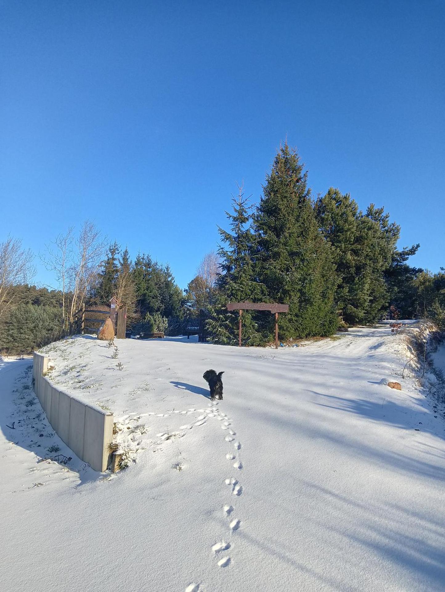 Agroturystyka na wsi w borach tucholskich