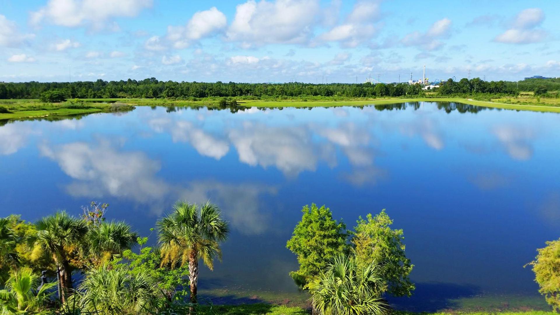 View (from property/room)