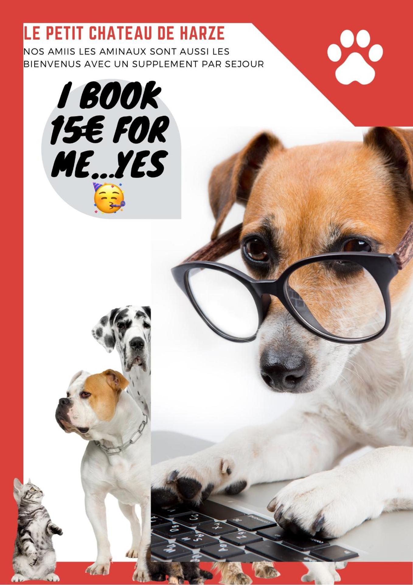 Petit Château de Harzé