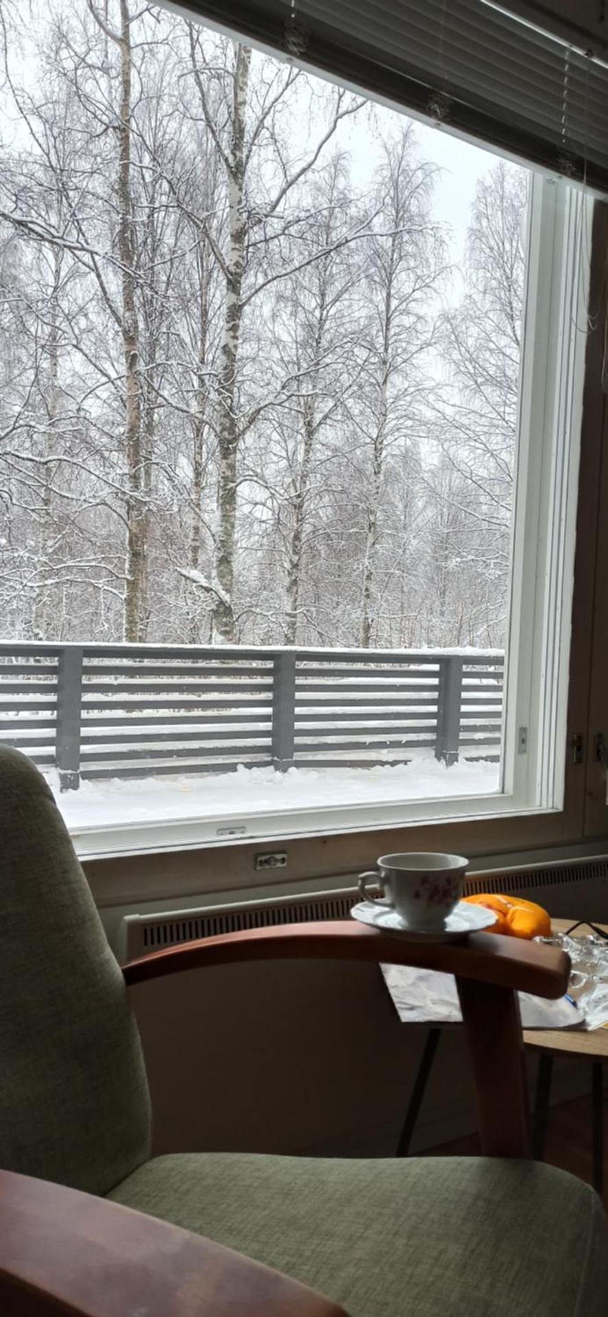 Kolin Kolo - Saunallinen kaksio