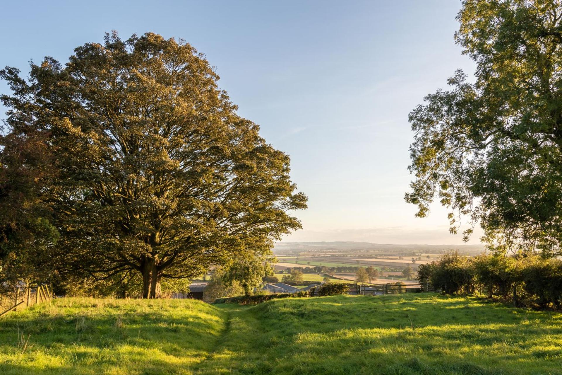 Prospect Farm Cottages